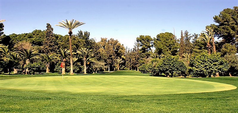 Royal Golf Marrakech — Fairway mit Palmen